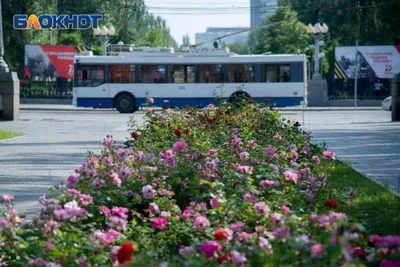 Погибших при взрыве троллейбуса в 2013 году вспоминают в Волгограде -