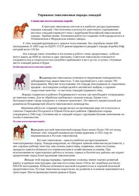 Русский, советский, владимирский тяжеловозы | Страница 3 | KoniClub.pro