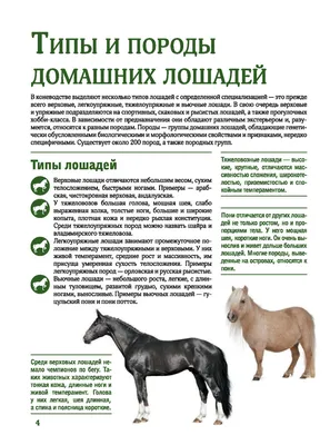 Фермер из Краснопольского района разводит лошадей-тяжеловозов