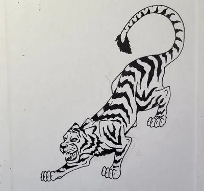 белый тигр PNG рисунок, картинки и пнг прозрачный для бесплатной загрузки |  Pngtree