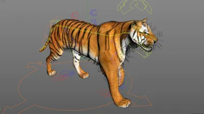 3d TIGER isolated 21107685 PNG