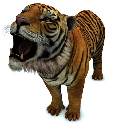 Фотообои Тигр в стене 3D купить в Новосибирску, Арт. 10-990 в  интернет-магазине, цены в Мастерфресок