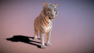 Original tiger man 3D model | By okkuzbrush | VRCArena