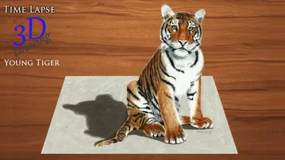Tiger Wall Murals buy in USA - Shop Uwalls.com