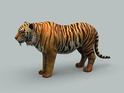 tiger, 3d, animated - Arthub.ai