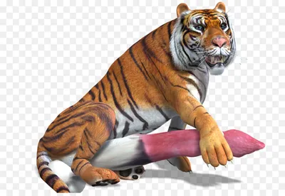 3DRT - Safari animals - Tiger - Buy Royalty Free 3D model by 3DRT.com  (@3DRT.com) [723903a]