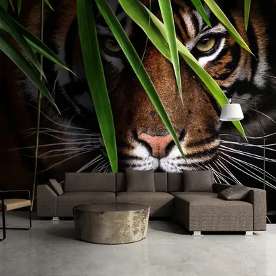 Bengal Tiger 3D Animal Model, bengal tiger 3d