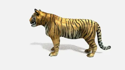 Tiger 3D Live Wallpaper:Amazon.com:Appstore for Android