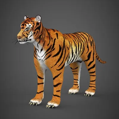 Модные фото обои в зал Животные 368х254 см 3D Два тигра Кошки Дикая природа  (130P8)+клей (ID#1025369324), цена: 1400 ₴, купить на Prom.ua