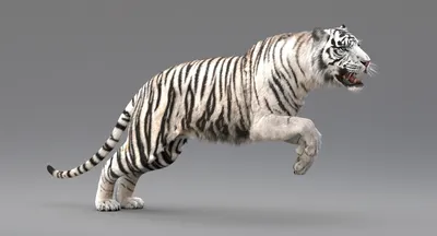 vector 3d tiger roar made of different sized glitter... | OpenArt