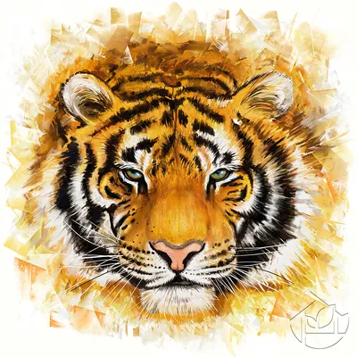 Portrait of a Tiger. Stock Photo by ©ant_art 85306666