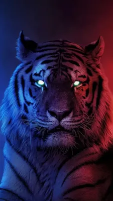 Power of the tiger | Tiger wallpaper, Big cats art, Tiger wallpaper iphone