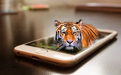 Обои на телефон: тигр, бенгальский тигр, полосатый, дикие кошки, дикий,  кошки, большие