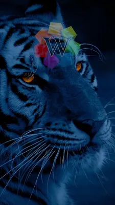 Tiger Wallpaper for iPhone 12 Pro