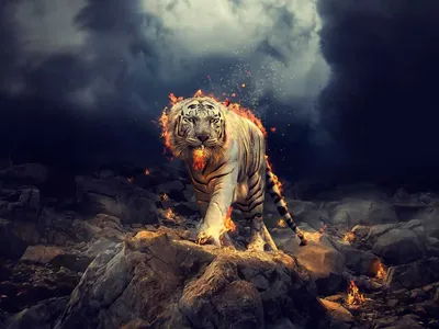 AI generated Fierce Tiger Wallpaper 35162133 Stock Photo at Vecteezy