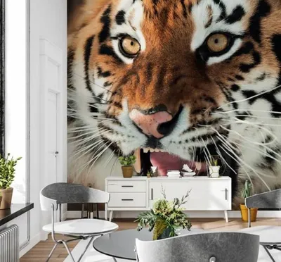 Tiger 3D Wallpaper Wallpaper Mural | Silk Interiors Wallpaper Australia