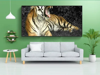 самая большая дикая кошка на земле - тигр Стоковое Изображение -  изображение насчитывающей семья, смотреть: 233283023