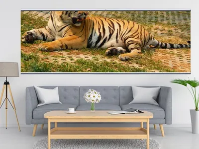 Большая кошка не тигр лежать вниз Стоковое Изображение - изображение  насчитывающей угрожано, тигр: 176178849