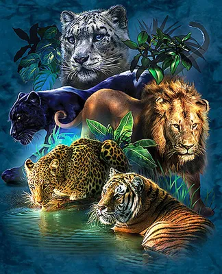 тигр 5 месяцев льва новичка Стоковое Фото - изображение насчитывающей  съемка, львев: 4248288