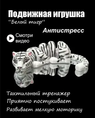 Сибирский Тигр Тигр Пантера Altaica — стоковые фотографии и другие картинки  Без людей - Без людей, Большой, Вертикальный - iStock