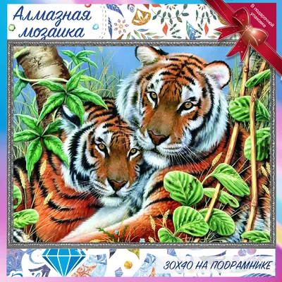 Влюбленность тигра. стоковое фото. изображение насчитывающей приятельство -  35981030