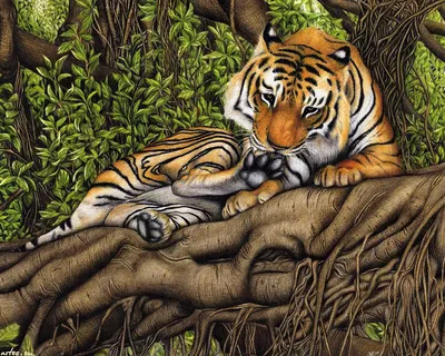 Тигр В Дереве — стоковые фотографии и другие картинки Без людей - Без  людей, Большая кошка, Горизонтальный - iStock