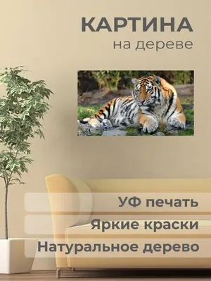 Белый тигр на дереве стоковое фото. изображение насчитывающей убийца -  64437088
