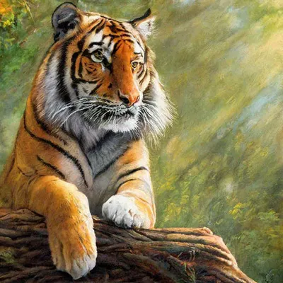 Пазл бенгальский тигр на дереве - разгадать онлайн из раздела \"Животные\"  бесплатно