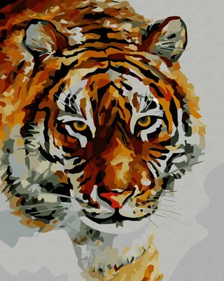 Картинки тигр в снегу (70 фото) » Картинки и статусы про окружающий мир  вокруг