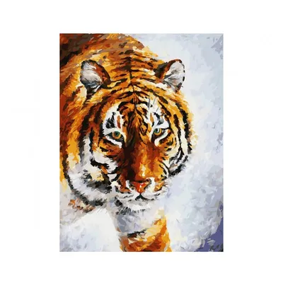 Амурский тигр: «царь тайги». Интересные факты из жизни большой дикой кошки  | Заметки о животных | Дзен