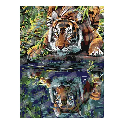 Тигр под водой - обои для рабочего стола, картинки, фото