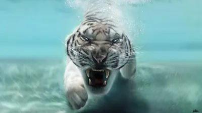 Тигр под водой · бесплатная фотография