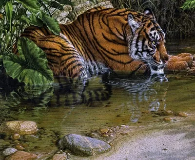 Тигр выпрыгивает из воды с поднятой лапой — Фото на аву