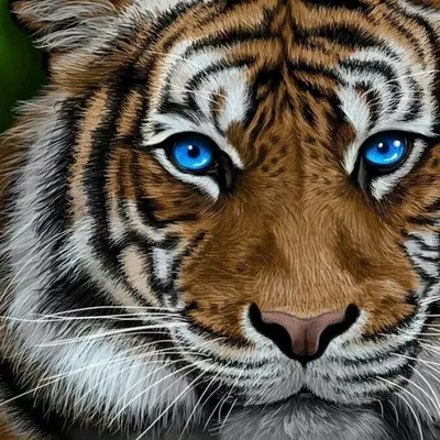 Тигр с голубыми глазами на темном …» — создано в Шедевруме