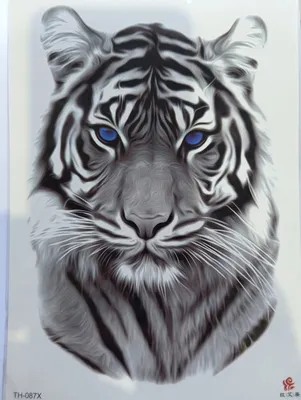 Татуировка мужская реализм на предплечье тигр с голубыми глазами | Реализм,  Татуировки, Тигр