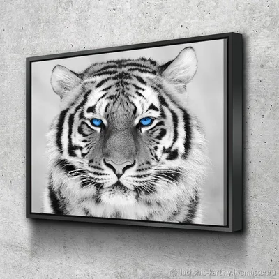 Набор для рисования по номерам на холсте тигр, с голубыми глазами |  AliExpress