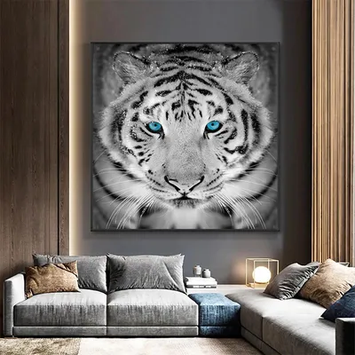 Тигр с голубыми глазами и черным фоном | Премиум Фото