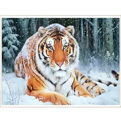 Скачать 1280x720 тигр, морда, полосатый, хищник, большая кошка, сидеть  обои, картинки hd, hdv, 720p