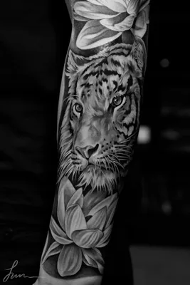 Татуировка мужская реализм на плече тигр - мастер Вячеслав Плеханов 4788 |  Art of Pain