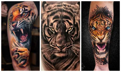 50 Фото] Тату Тигр для Мужчин и Женщин — Значение Оскал, Открытая Пасть,  Морда | TattooAssist