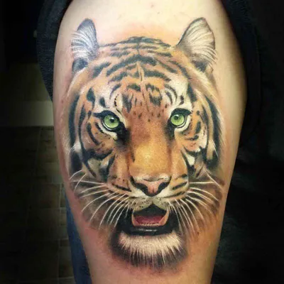 Оригинальное изображение татуировки тигра на руке - png | Тату тигр на руке  Фото №518790 скачать