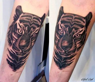 Tattoo • Подборка тату: Тигр на руке (53 фото)