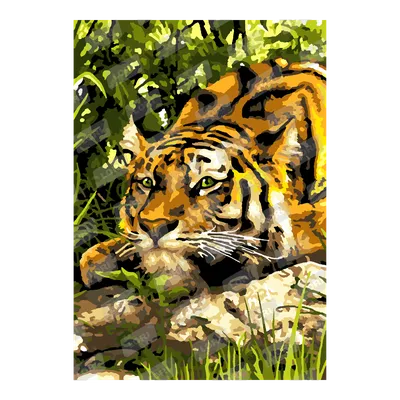 Постеры Тигр в джунглях — купить по цене 310 руб в интернет-магазине  #1115048