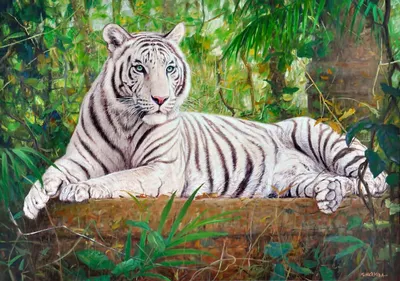 Фотообои Тигр в джунглях артикул Dtr-056 купить в Мытищах |  интернет-магазин ArtFresco