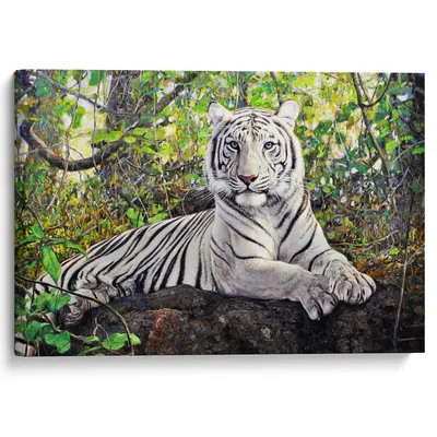 Скачать обои тигр, Индия, джунгли, Азия, молодой, раздел кошки в разрешении  2000x1333