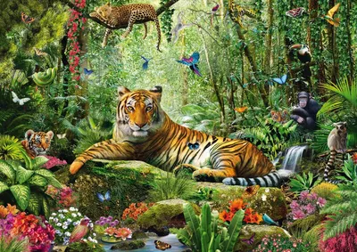 Тигр джунгли - картинки и фото koshka.top