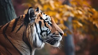 Скачать 1280x1024 тигр, бамбук, голова, джунгли, большая кошка, листья,  мех, морда, окрас, полоски, профиль, усы, хищник, шерсть обои, картинки  стандарт 5:4