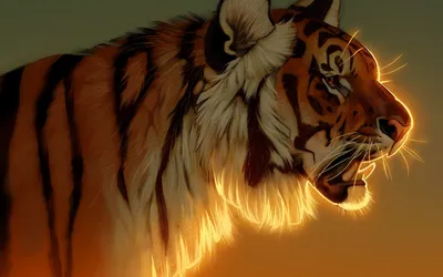 Тигр Профиль — стоковые фотографии и другие картинки Тигр - Тигр, Тигровый  рисунок, В профиль - iStock
