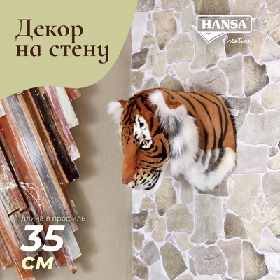 Скачать 1600x900 тигр, профиль, оскал, злость, агрессия, большая кошка,  хищник обои, картинки 16:9