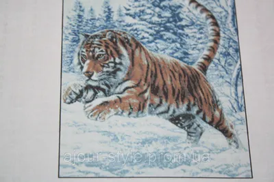 В приморском заповеднике тигры соревновались в прыжках в высоту - KP.RU